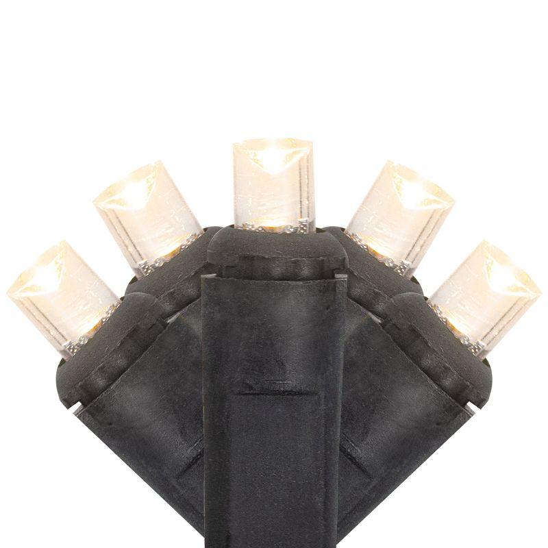 Northlight Seasonal 50ct Warm White LED Wide Angle Christmas Lights - 16.25 ft Black Wire