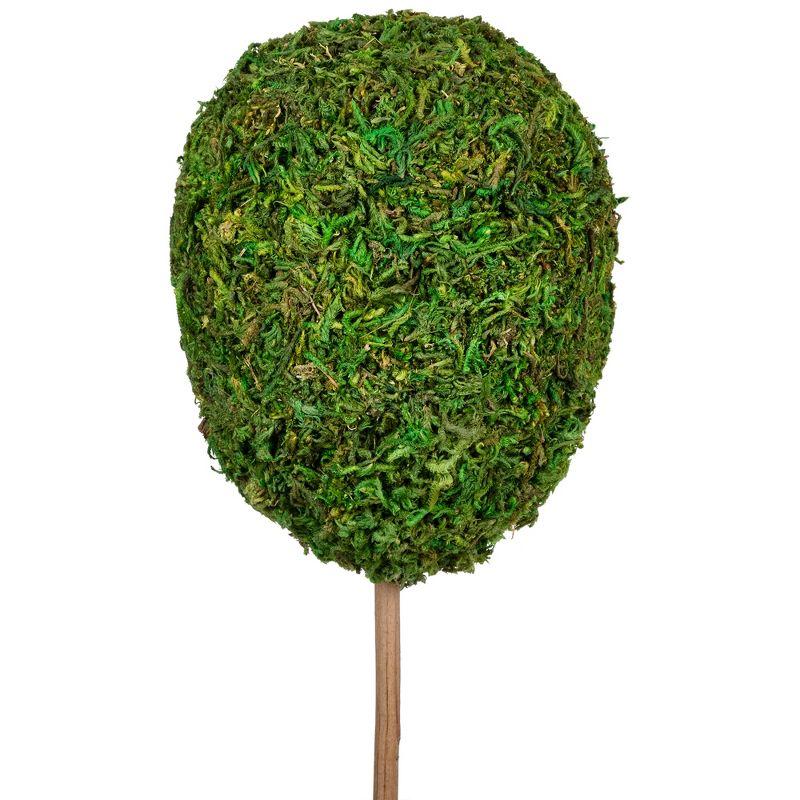 Northlight Seasonal Green Reindeer Moss Ball Potted Artificial Spring Topiary Tree