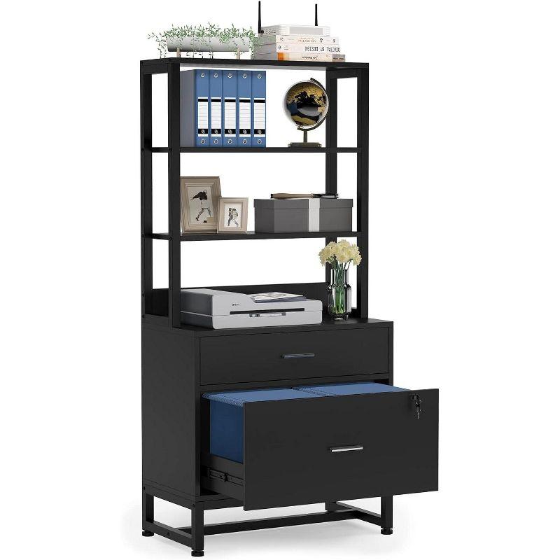 Black Vertical 2-Drawer Lockable File Cabinet with Shelves