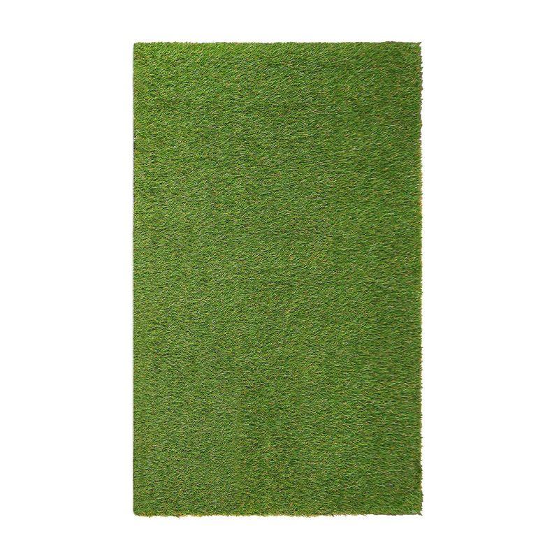 Eider & Ivory™ Thurlos Artificial Grass Synthetic Lawn Indoor Outdoor Area Rug