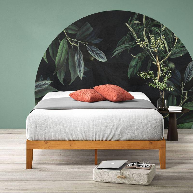 Queen Alexia Standard Wood Platform Bed Frame Natural - Zinus