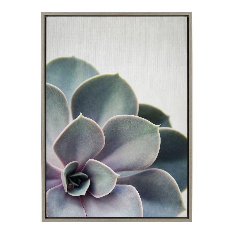 Sylvie Succulent 5 Framed Canvas by F2 Images - Kate & Laurel All Things Decor