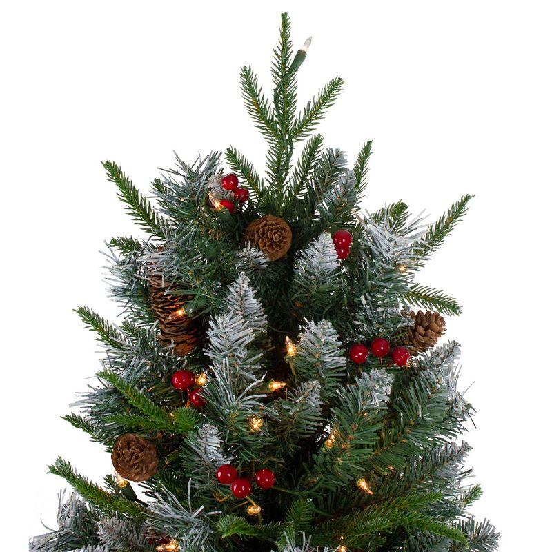 Northlight 7ft Pre-Lit Frosted Mixed Berry Pine Artificial Christmas Tree - Clear Lights