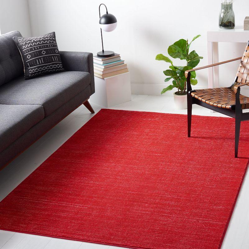 Vision VSN606 Area Rug  - Safavieh