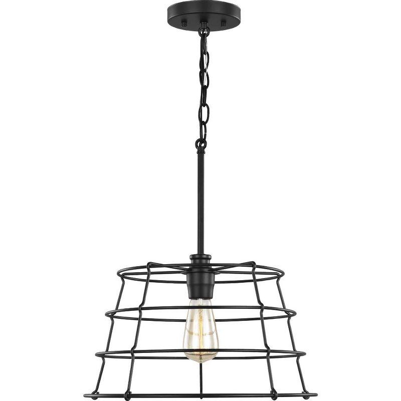 Progress Lighting Chambers 1-Light Pendant, Matte Black, Wire-Frame Shade