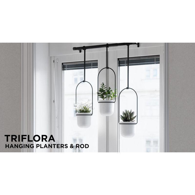 Tri-Flora Hanging Planter