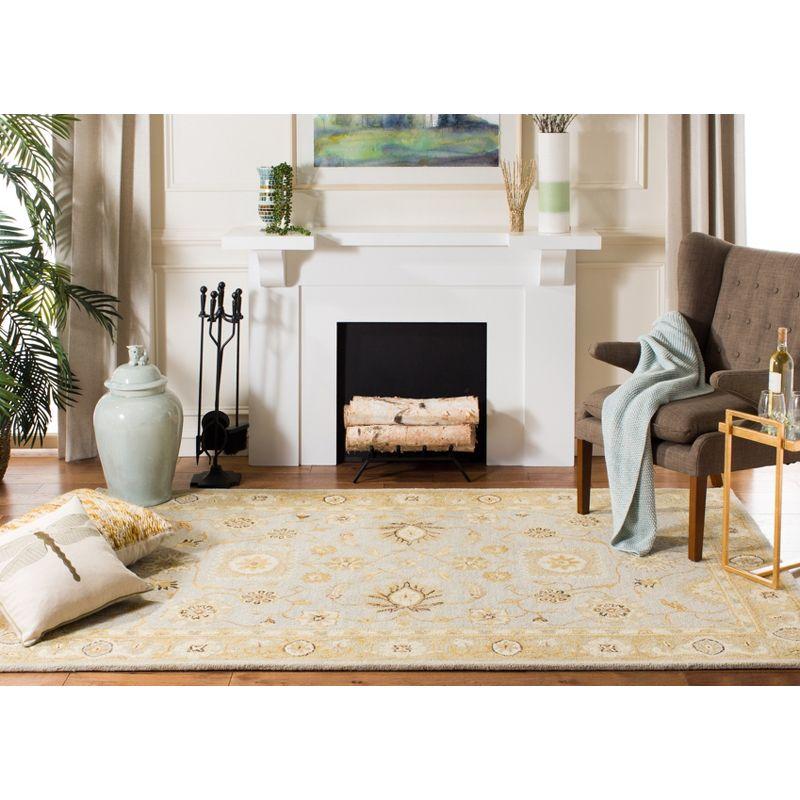 Anatolia AN556 Hand Tufted Traditional Area Rug  - Safavieh