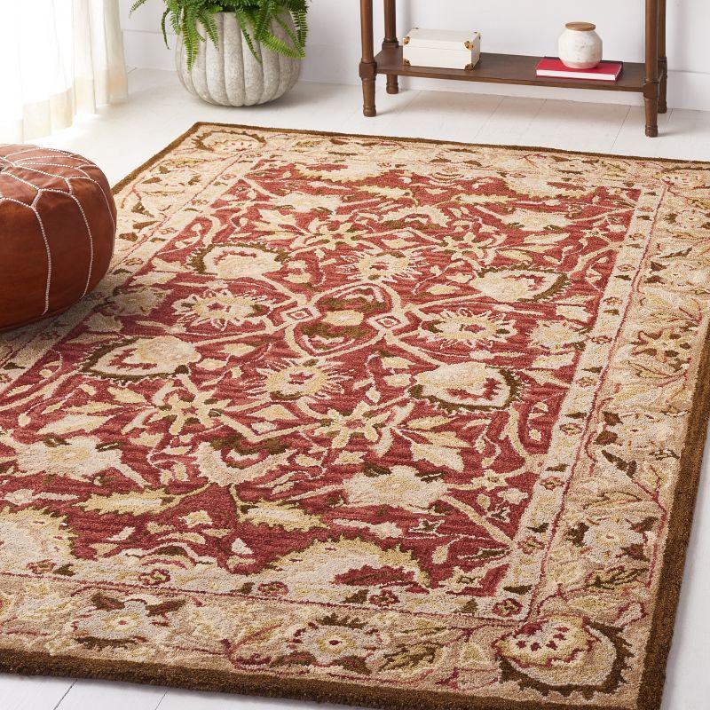 Antiquity AT65 Hand Tufted Area Rug  - Safavieh