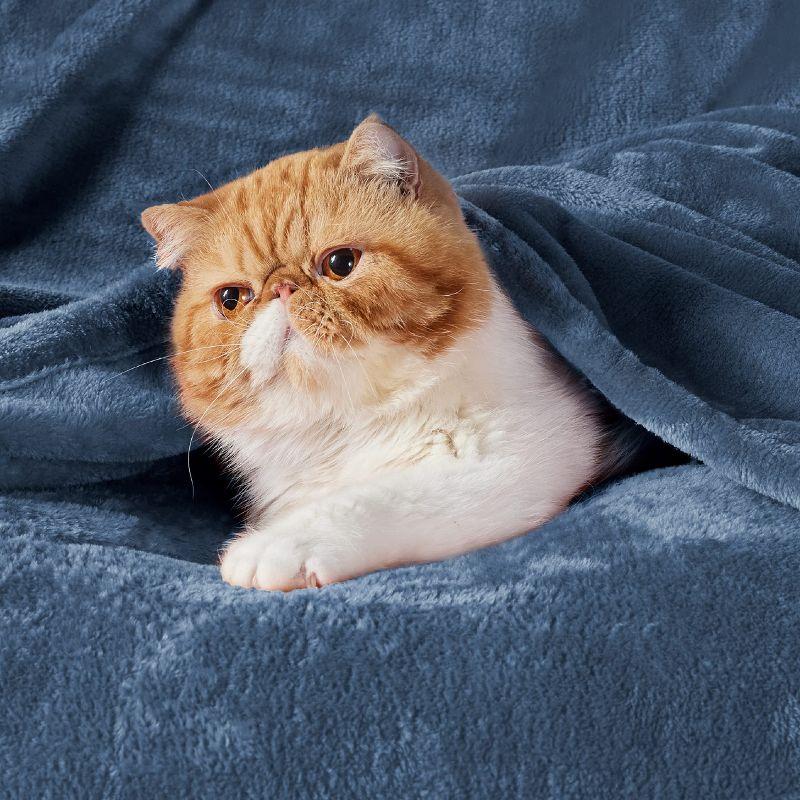 Flannel Blanket Solid 300GSM Soft Fuzzy Plush Throw Size Mineral Blue - Bedsure