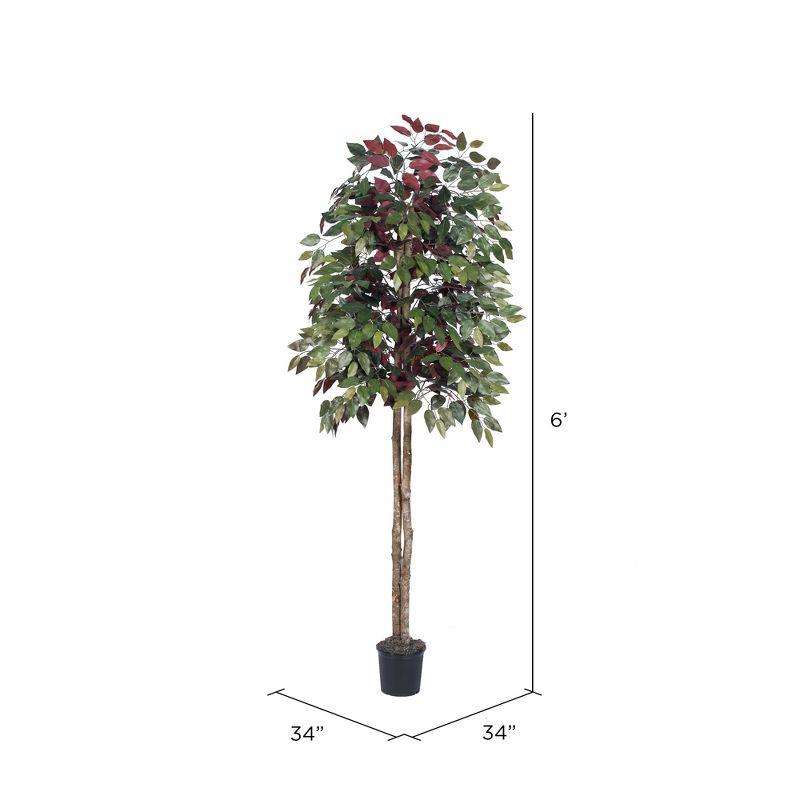 Vickerman Artificial 6' Capensia Potted Tree