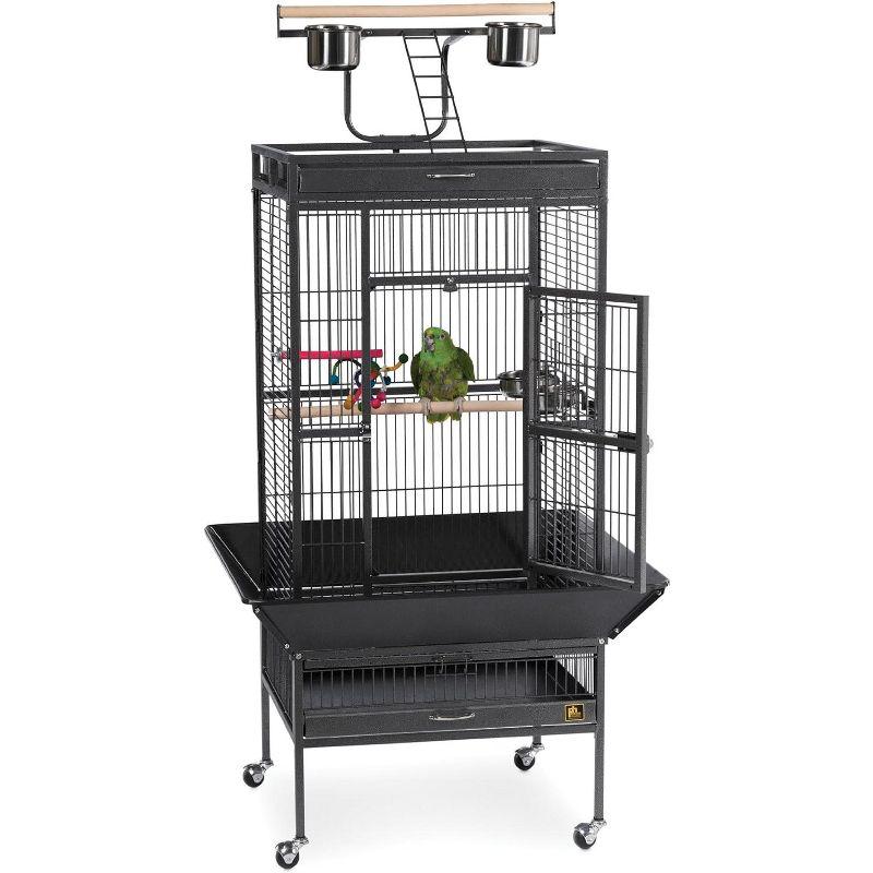 Prevue Pet Products 3152BLK Wrought Iron Select Bird Cage, Black Hammerstone