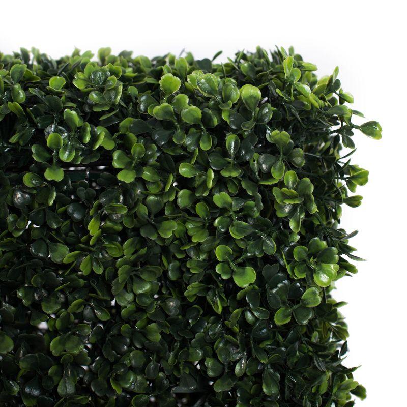 Boxwood Wall Panel Arrangement