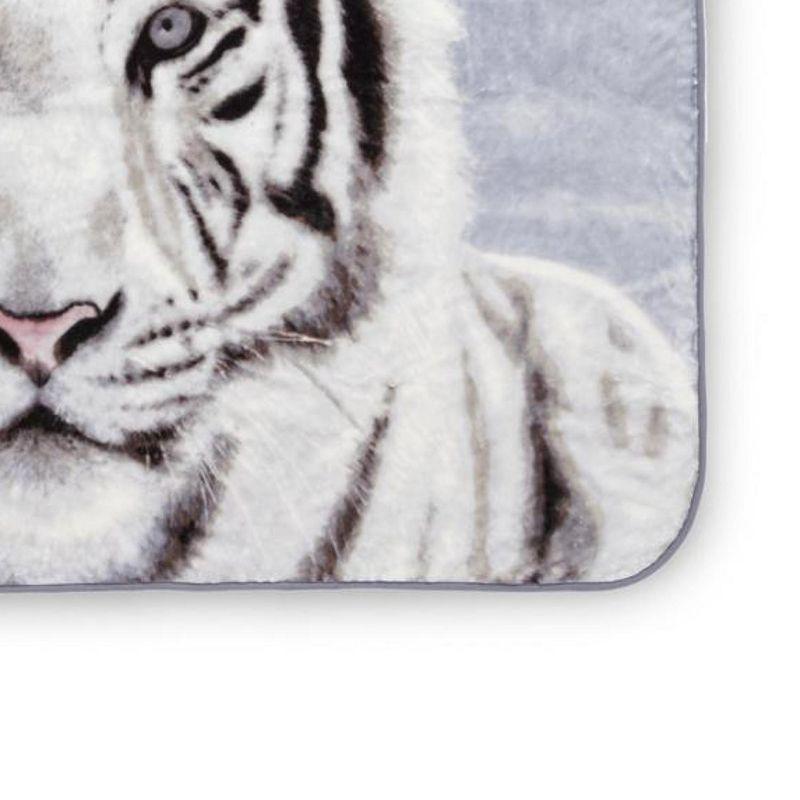 Shavel Home Products High Pile Oversized 60x80 Luxury Throw