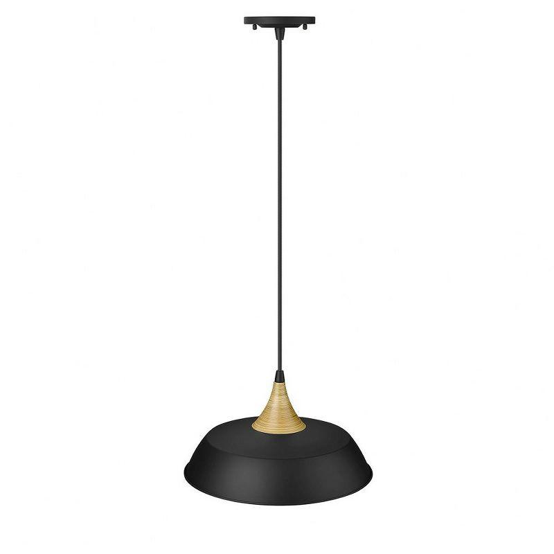 Millennium Lighting Arlo 1 - Light Pendant in  Matte Black