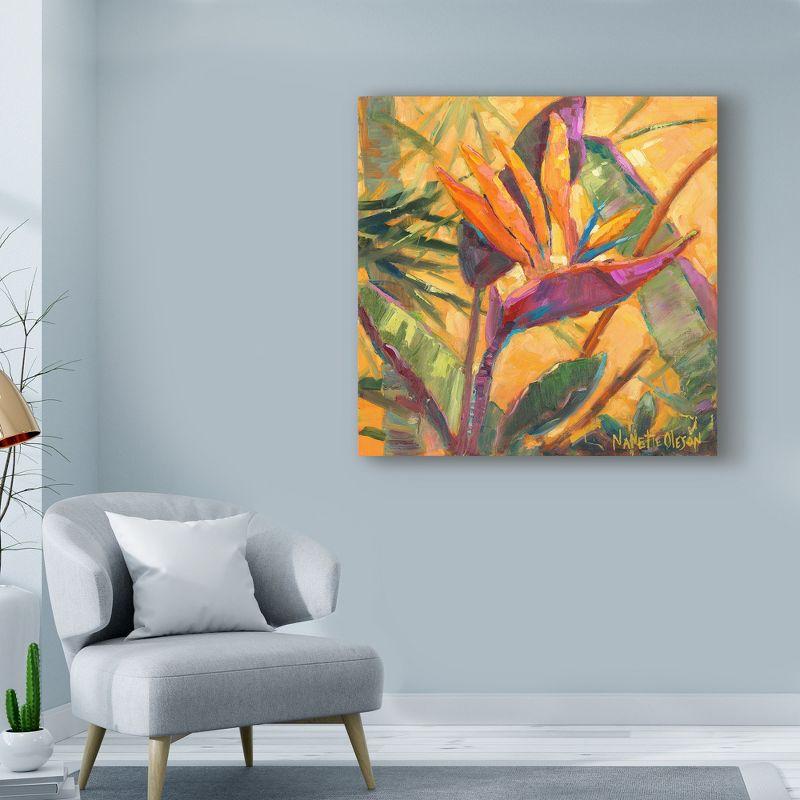 Trademark Fine Art -Nanette Oleson 'Splash Of The Tropics I' Canvas Art - 18''x18''