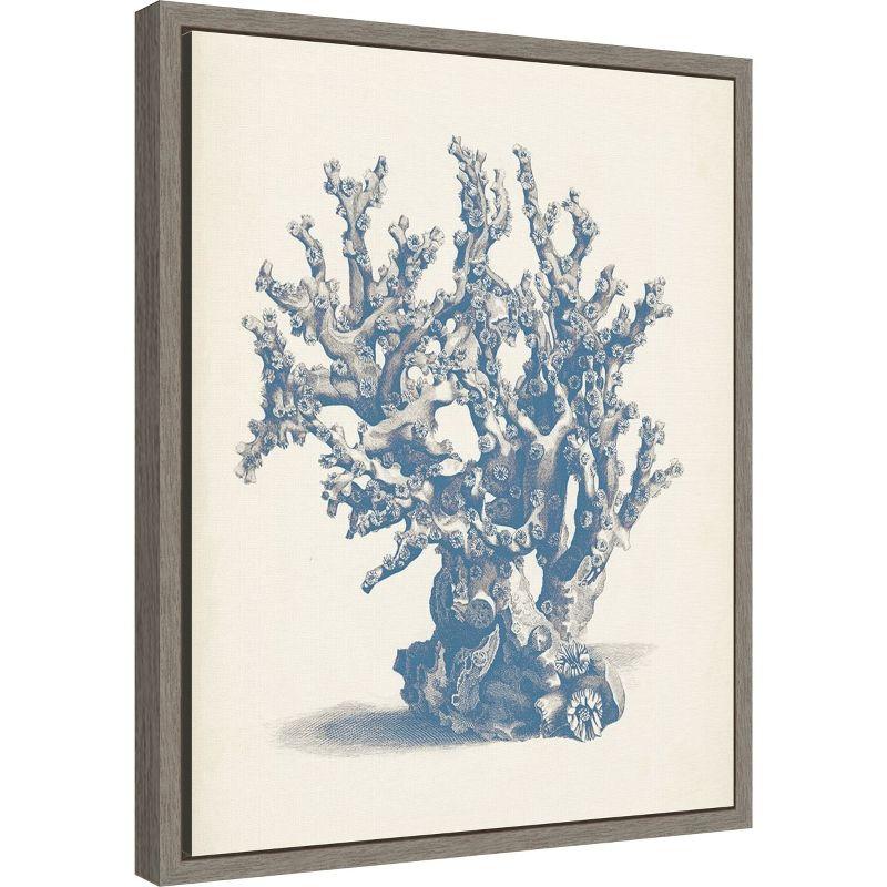 Amanti Art Antique Coral Collection V by Vision Studio Canvas Wall Art Print Framed 16 x 20-in.