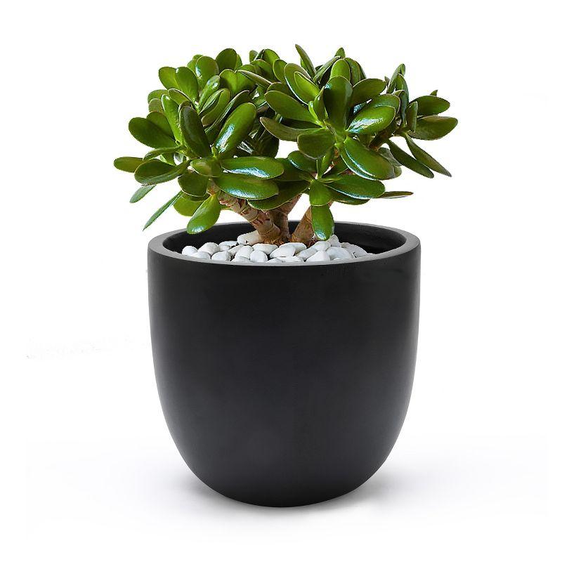 LuxenHome Round Tapered 9.2" H House Planter, Indoor/Outdoor Black