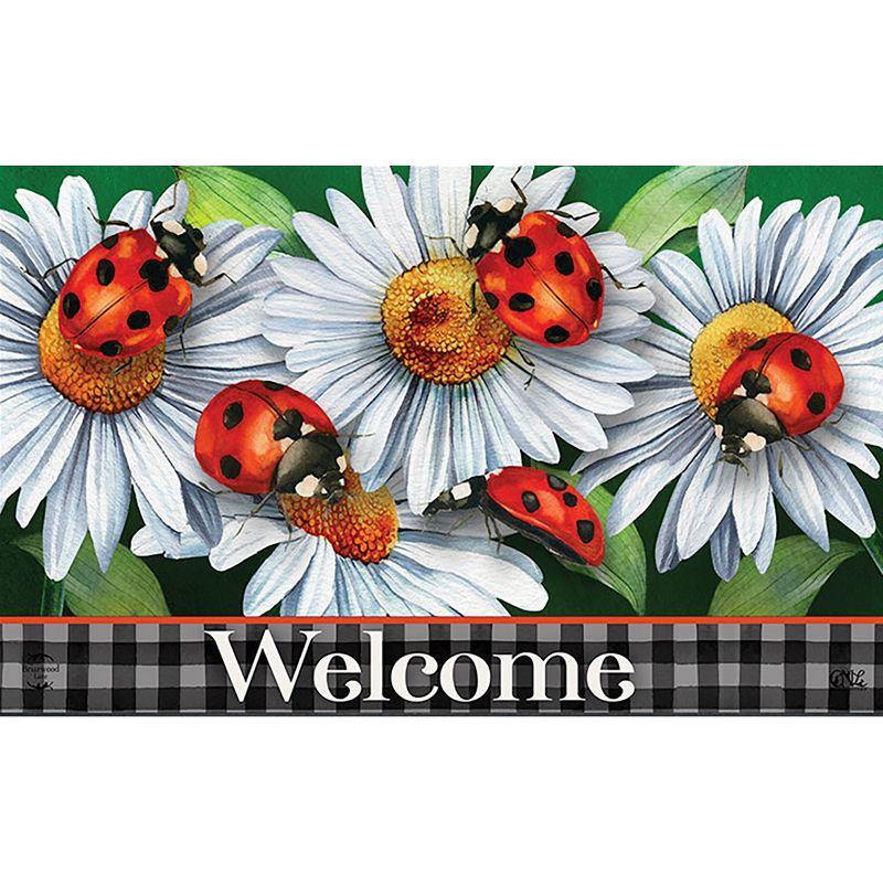 Briarwood Lane Spring Doormat 30x18 Indoor Outdoor Ladybugs and Daisies For Spring Doormat