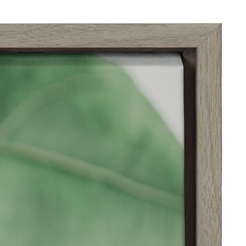 Kate and Laurel Sylvie Plant Study 6 Framed Canvas by Alicia Abla