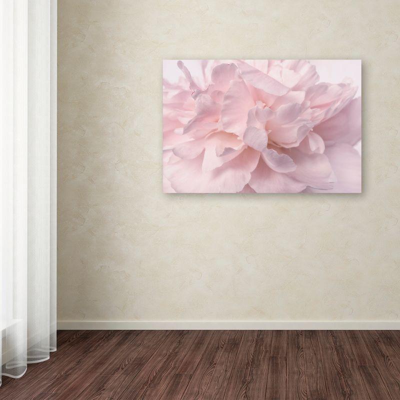 House of Hampton® " Pink Peony Petals II " by Cora Niele