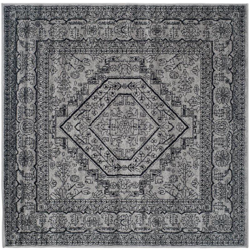 Adirondack ADR108 Area Rug  - Safavieh