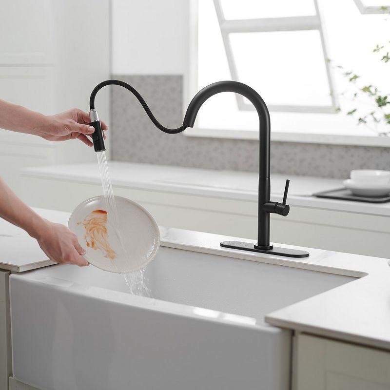 Single Handle Pull Down Sprayer Kitchen Faucet