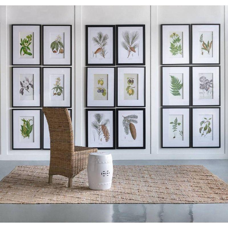 Set of 2 Smithsonian Fruit Framed Wall Arts - A&B Home: Transitional Decor, Vertical Orientation, Includes Mounting Hardware