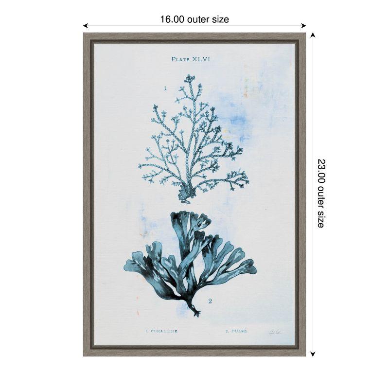 Winston Porter Blue Bay VIII by Deborah Revell Framed Canvas Wall Art Print