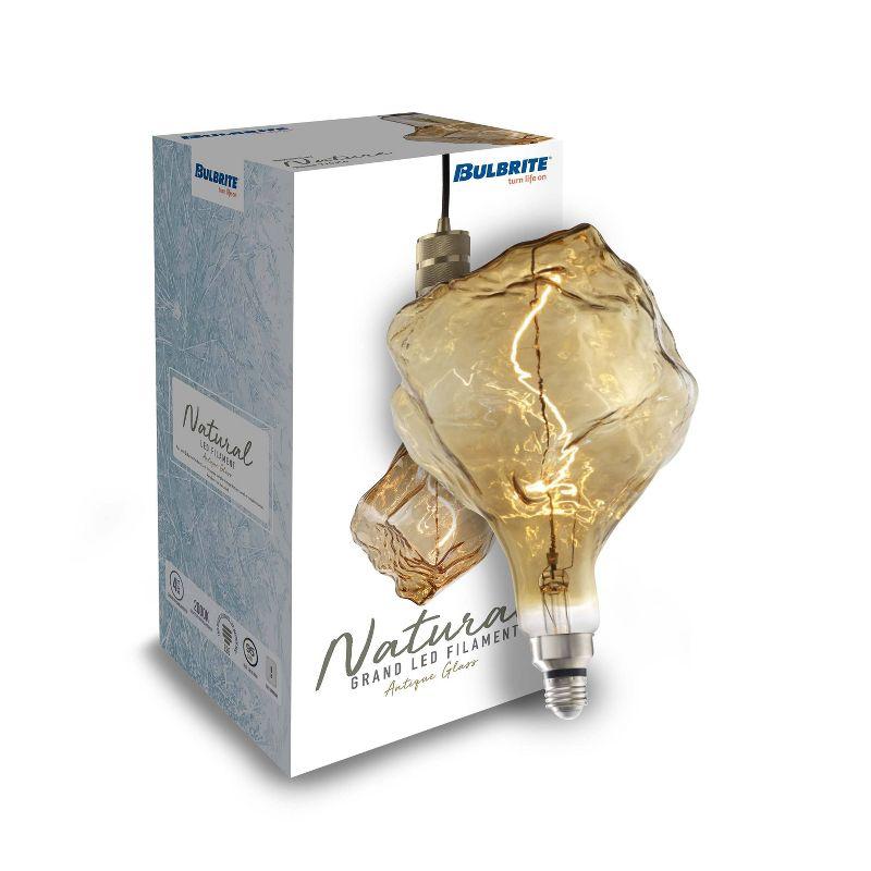 Oversized Iceberg Antique LED Edison Bulb, 60 Watt Equivalent, E26 Dimmable