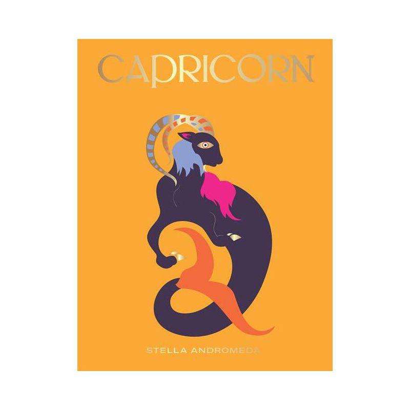 Capricorn - (Hg Seeing Stars) by  Stella Andromeda (Hardcover)