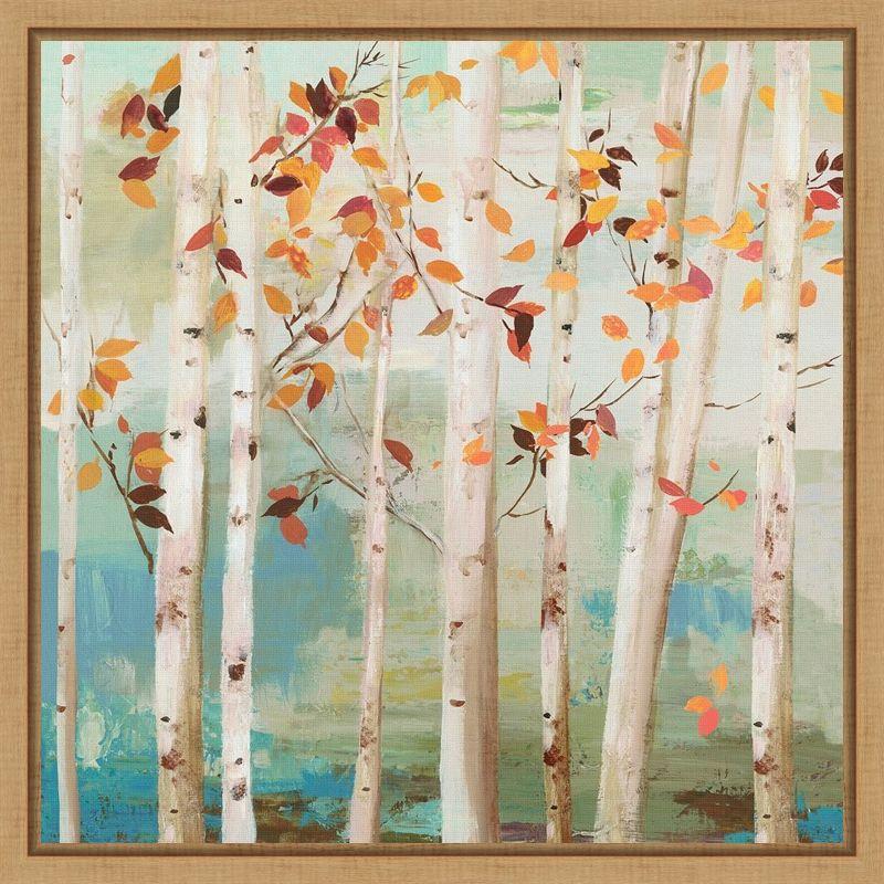 Autumn Birch Trees Canvas Print with Maple Frame