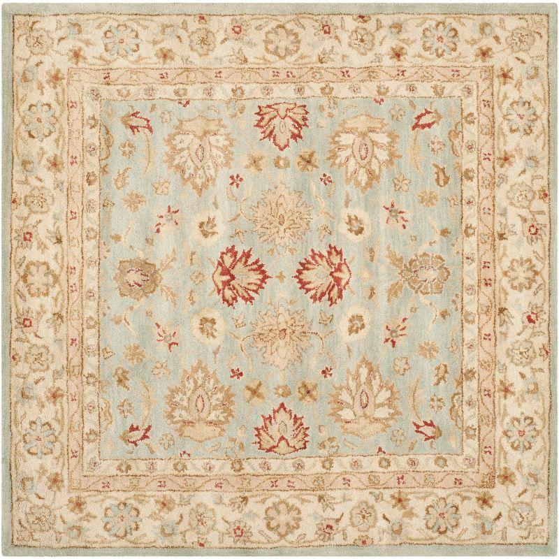 Antiquity AT822 Hand Tufted Area Rug  - Safavieh