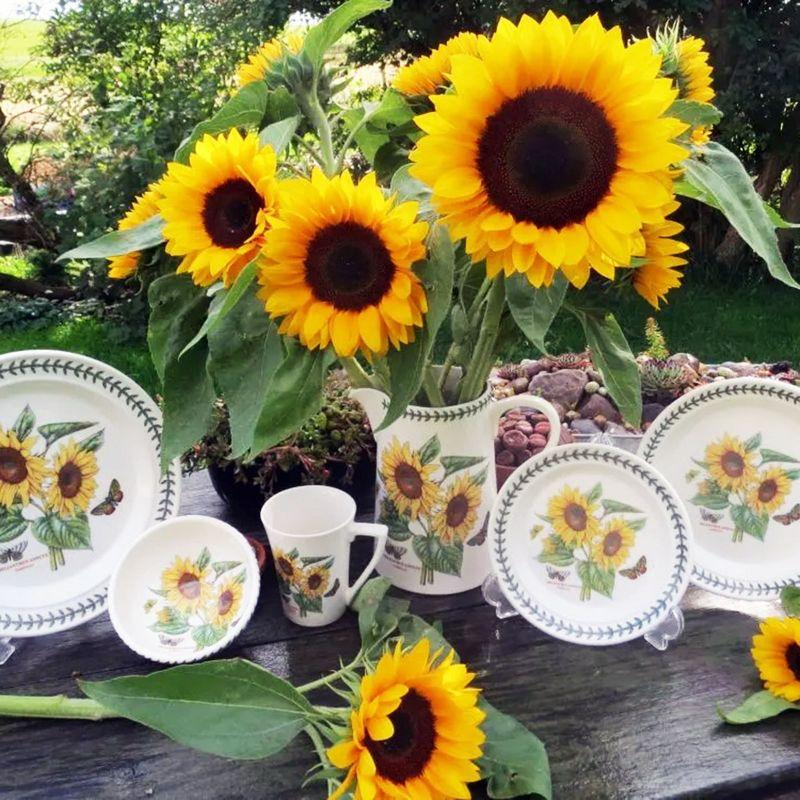 Portmeirion Botanic Garden 12 Inch Entertaining Platter (Sunflower)