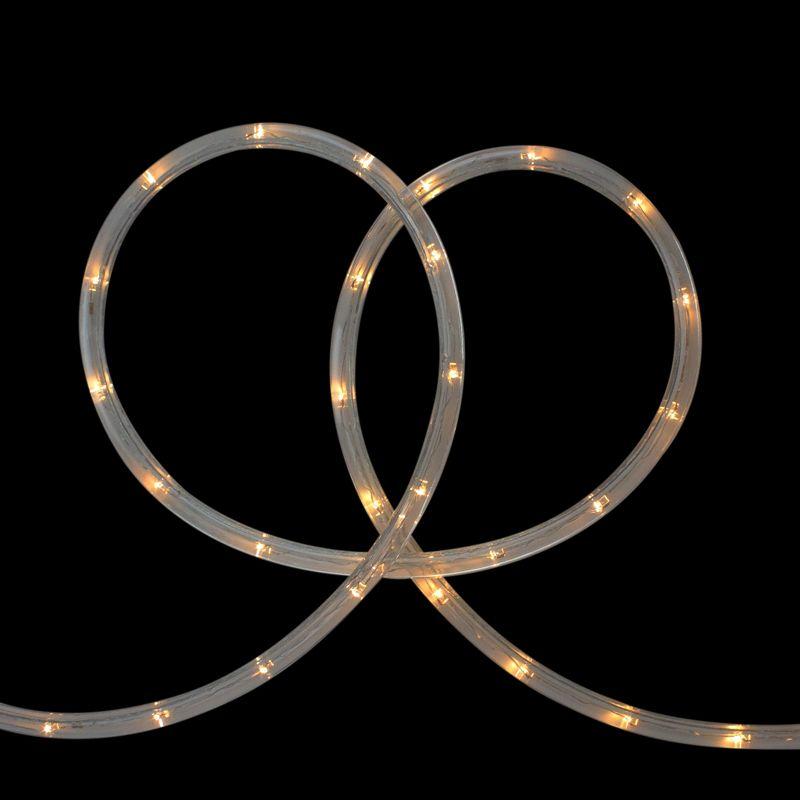 18' LED Outdoor Christmas Decor Rope Lights