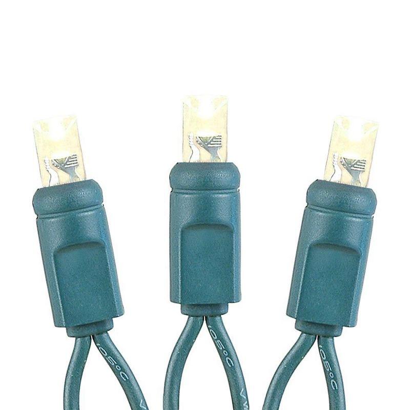 Novelty Lights Warm White LED Christmas String Lights 50 Mini Bulbs (Green Wire, 17 Feet)
