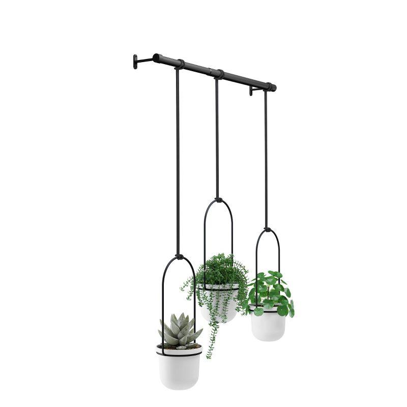 Tri-Flora Hanging Planter