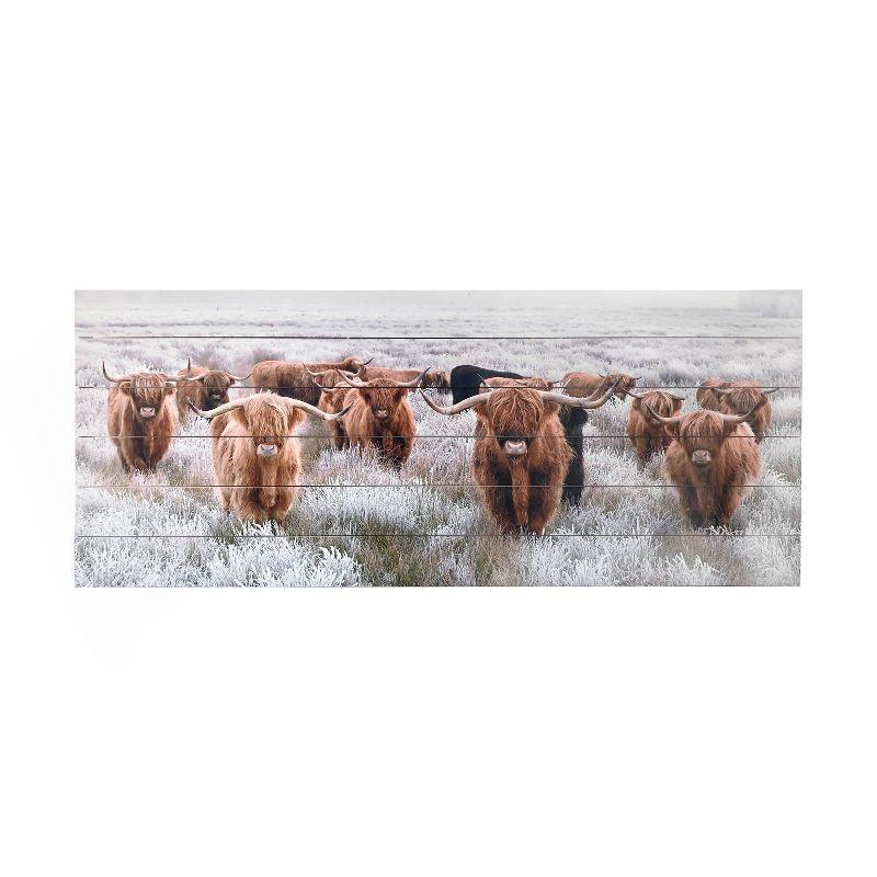 Highland Herd Photographic Print on Planked Fir Wood Wall Art