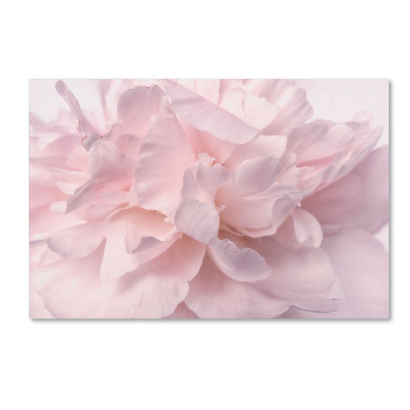 House of Hampton® " Pink Peony Petals II " by Cora Niele