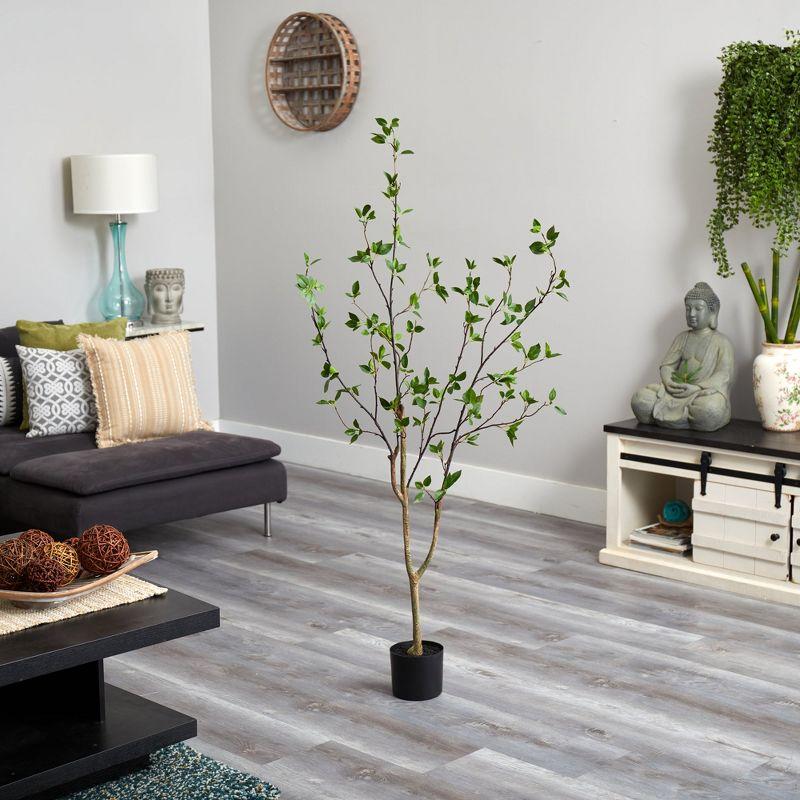 Faux Minimalist Citrus Tree 5'