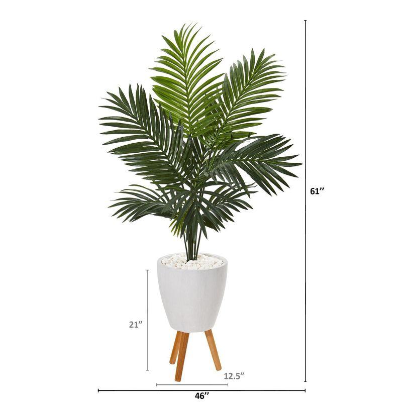 61'' Green Paradise Palm in White Planter with Wooden Stand