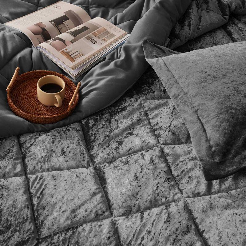 Intelligent Design Felicia Crushed Velvet Comforter Set with Throw Pillow
