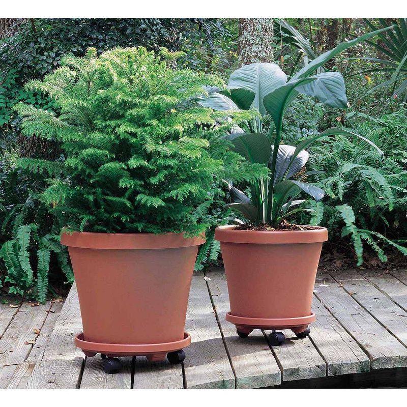 13.86" Plant Stand Caddy with Wheels and Saucer Tray Terracotta - Bloem