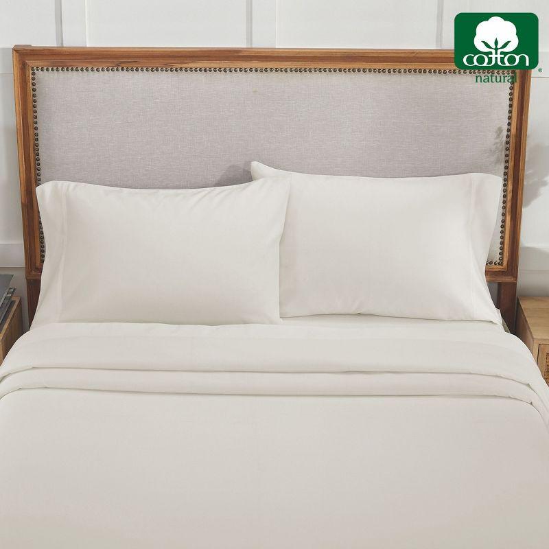Luxury Pillowcase Set - 800 Thread Count 100% Cotton Sateen, Soft & Cooling Pillowcases by California Design Den - Ivory, Standard/Queen Pillowcases