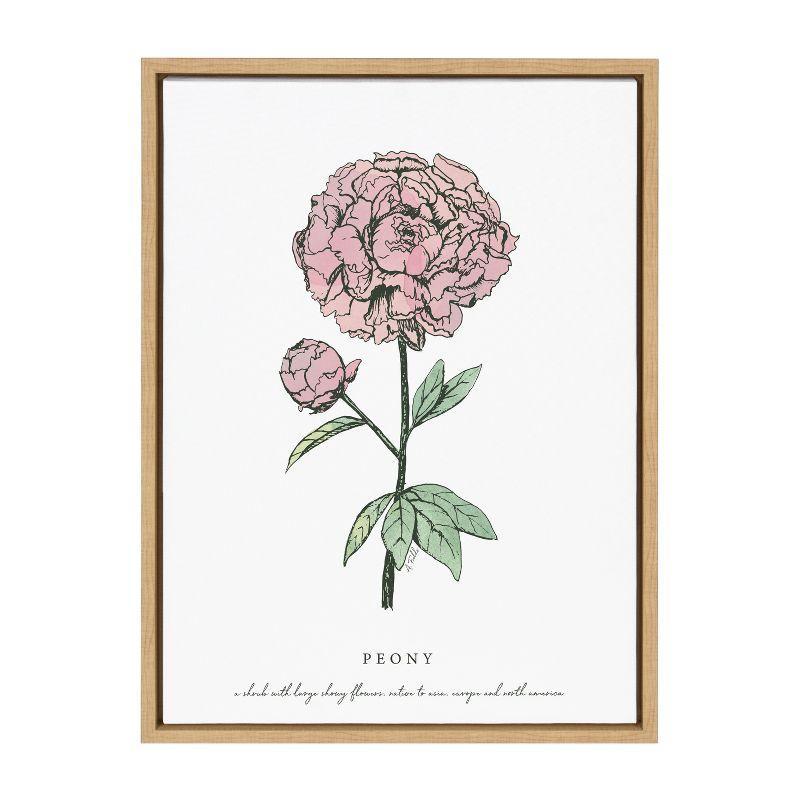 Natural Framed Peony Canvas Print, 18x24