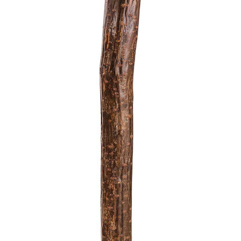 Brazos Knob Root Natural Hardwood Wood Walking Stick 37 Inch Height