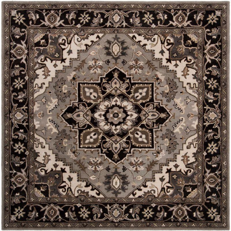 Royalty ROY700 Hand Tufted Indoor Area Rug - 7'x7' - Silver/Charcoal - Safavieh