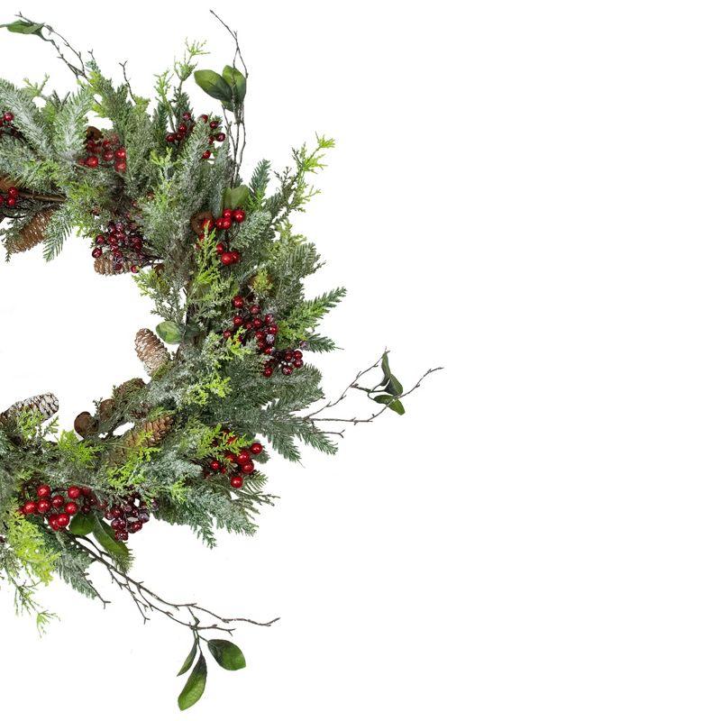 Northlight Frosted Pine and Berry Artificial Christmas Wreath, 25-Inch, Unlit