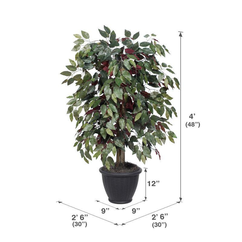 Vickerman 4' Artificial Capensia Bush, Gray Round Plastic Container. In a 12"Lx12"Wx9"H base.