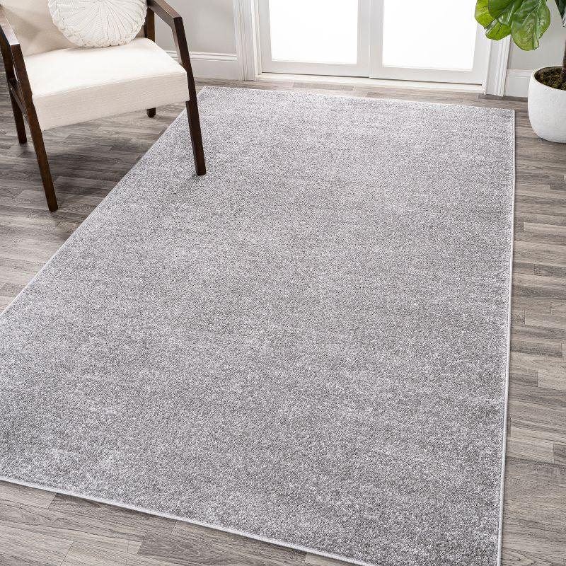 Gray Synthetic 4' x 6' Solid Low-Pile Indoor Area Rug