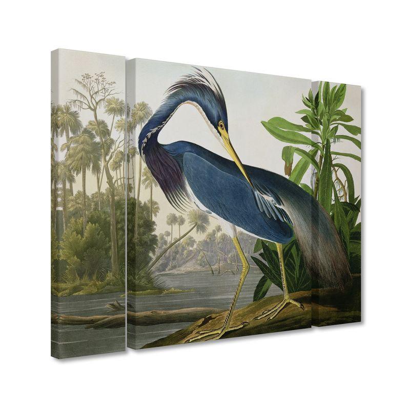 Trademark Fine Art -John James Audubon 'Louisiana Heron' Canvas Art